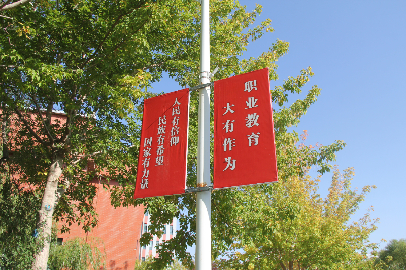 IMG_3790.JPG IMG_3790.JPG